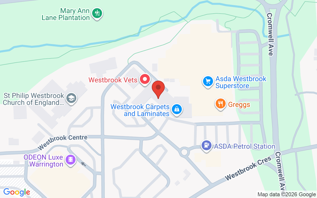 Map showing the location of Brewsters