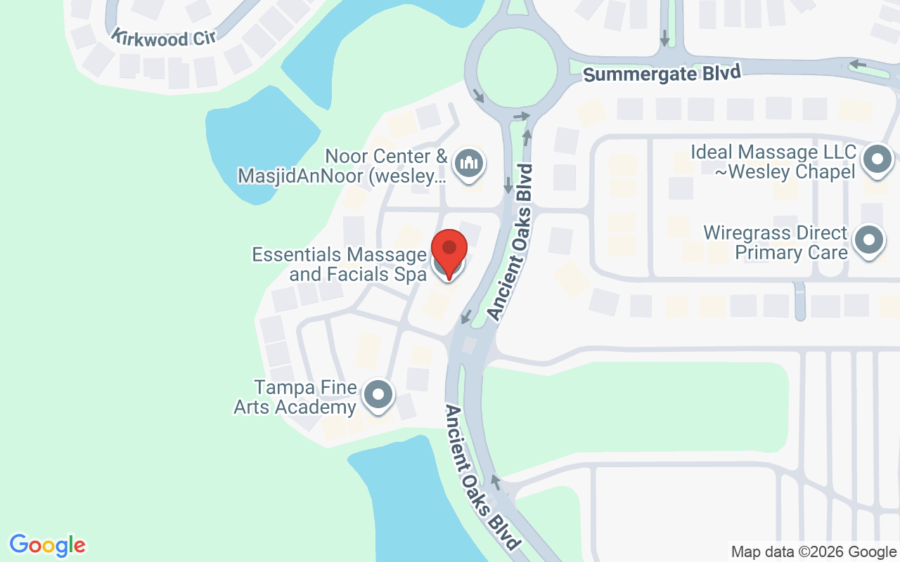 Map showing the location of Essentials Massage & Facials of Wesley Chapel
