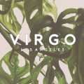 Virgo